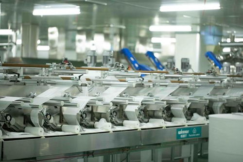 全棉時(shí)代副總裁劉華 以電子商務(wù)技術(shù)研發(fā)賦能綠色棉花產(chǎn)業(yè)，守護(hù)地球生態(tài)良性發(fā)展